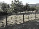 Prodaje se domaćinstvo u Progoreocima.Cena  52.000EUR-a.