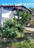 Prodaje se kuca u Arandjelovcu pov.85m2 u osn.cena 68.000EUR