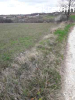 Prodaje se plac u Arandjelovcu pov.2ha i 45 ari,cena 500E/ar