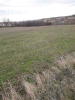 Prodaje se plac u Arandjelovcu pov.2ha i 45 ari,cena 500E/ar