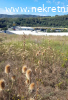 Prodaje se plac u Aranjdelovcu pov.1ha i 70 ari,cena 4000E/A
