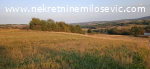 Prodaje se plac u Misaci pov50ari,cena 26.500,00EUR-a