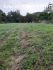 Prodaje se polj.zemljiste u Misaci pov.1,3ha,cena 165EUR\ ar