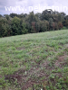 Prodaje se polj.zemljiste u Misaci pov.1,3ha,cena 165EUR\ ar