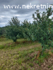 Prodaje se visnjar u Banji pov.1ha i 35ari,cena 600EUR/ar