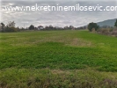 Prodaje se njiva 1.3ha, cena 150 EURA po aru